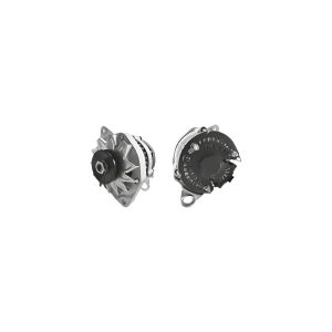 Alternador Renault 19 Energy 12V Nueva Potencia