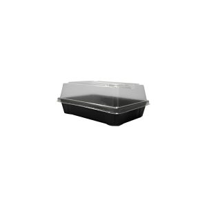 Envase Sushi Delipack Pequeño Tapa Transparente